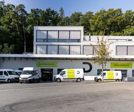 Derendinger Bern Bild 2