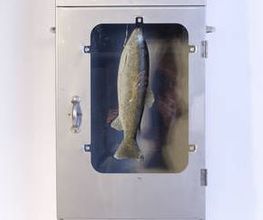 Rundumfisch AG Bild 5