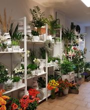 Rosenthal - DAS BLUMENGESCHÄFT Bild 2