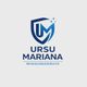 Logo - Fenster Reinigung - Ursu Mariana Reinigungsservice