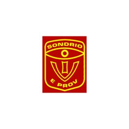 Istituto Vigilanza di Sondrio e Provincia - Securitas Servizi Integrati logo