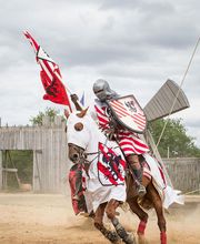 CHÂTEAU TIFFAUGES image 19