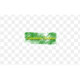 Gilardoni Stefano logo