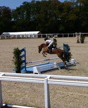 Ponte F SARL image 3