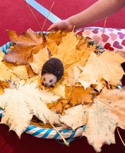 Herbstliche Entdeckerecke mit Blättern, Igel und kindgerechtem Naturmaterial - Luft(T)raum Leipzig