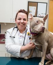 Care First Animal Hospital at Tryon image 4