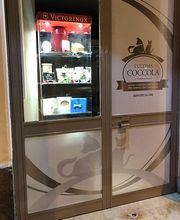 Gallery Cliente