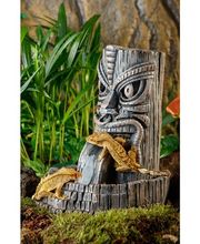 la ferme aux coleos image 12