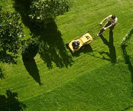 Garten der Träume SB Bild 3