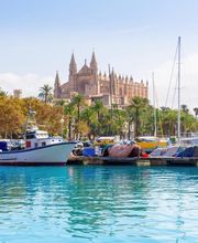 CELTEA VOYAGES image 2