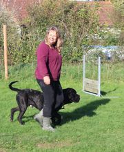 Agil'Canin 36 image 16