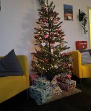 Ein geschmückter Weihnachtsbaum.