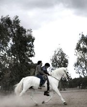 Picadero Escuela Las Cruces imagen 11