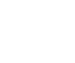 312313372-2-1OtlCCeQjJ1789545587549.png