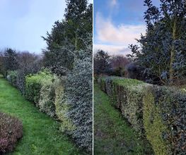 La Clé des Jardins image 9