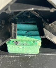 insectacon Schädlingsbekämpfung Bild 11