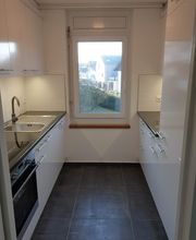 Küchensanierung in Uttigen