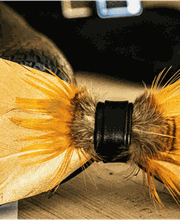 Trauredner Rainer Gissing Bild 5