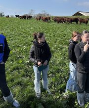 Lyc D Ens Agric Prive Pommerit image 1