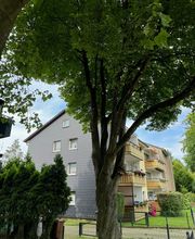 Nadrowski Baumdienst Bild 7