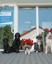 Tierarztpraxis Oppenheim Bild 4