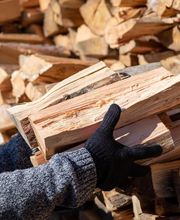 Fricke TimberTech Bild 4
