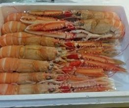 Mariscos_Silvio_Ubeda.jpg