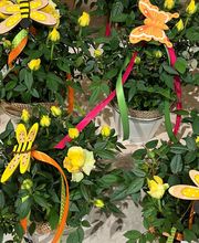 Touch à Fleurs SAS image 6