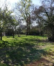 Harmonie Canine image 3