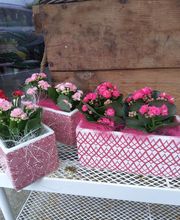 Secrets de Fleurs image 12