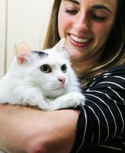 Willowrun Veterinary Hospital image 18