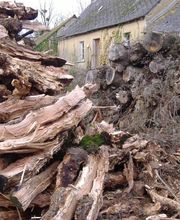 Piron Jean-Loup image 17