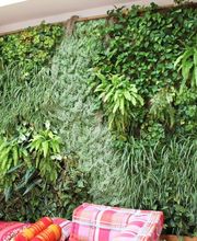 Paysage Nouvelle Génération Png SARL image 17