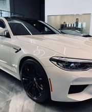 Fishers Imports image 14