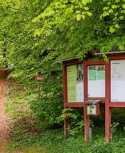 FriedWald Bad Laasphe Bild 9