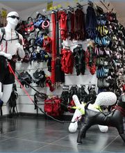 Animal City image 13