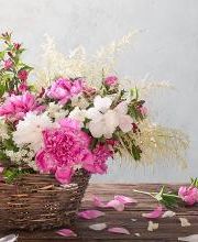 Garden & Nostalgia imagen 4