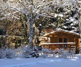 Camping de la Forêt image 16