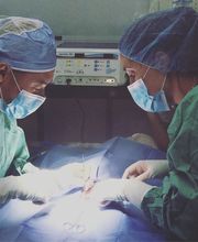 Irvine Valley Veterinary Hospital Emergency image 8