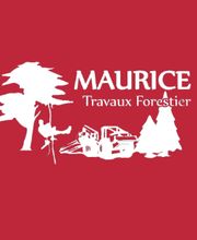 Maurice Travaux Forestiers image 2