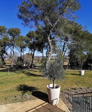 Idex Direction Régionale SUD EST image 20