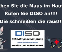 DISO Schädlingsbekämpfung Bild 5