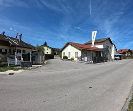 Zaunteam Chiemgau Bild 1