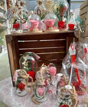 Villaverde Lecornu Jardinerie EURL image 1