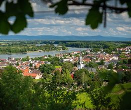 Weingut & Gästehaus Thomas Schwibinger Bild 10