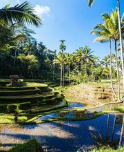 Planète Evasion SA Bild 5