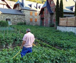 meson-casa-benito-huerta-03.jpg