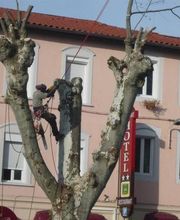 Lopez Dominique le Grimpereau image 8