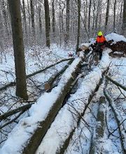 Gartenbau Schade Bild 4