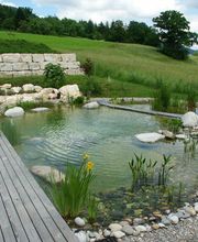 baumgartner gärtnerei Bild 8